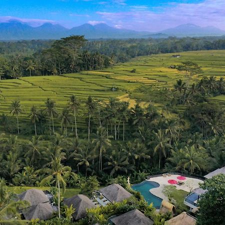 Puri Sebali Resort Ubud Kültér fotó