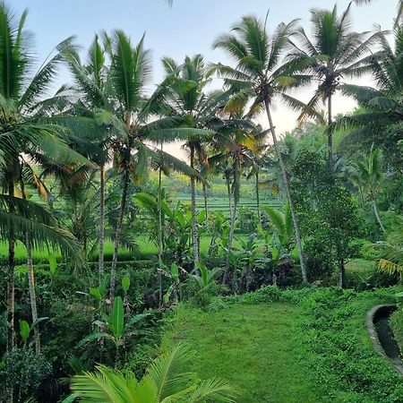 Puri Sebali Resort Ubud Kültér fotó