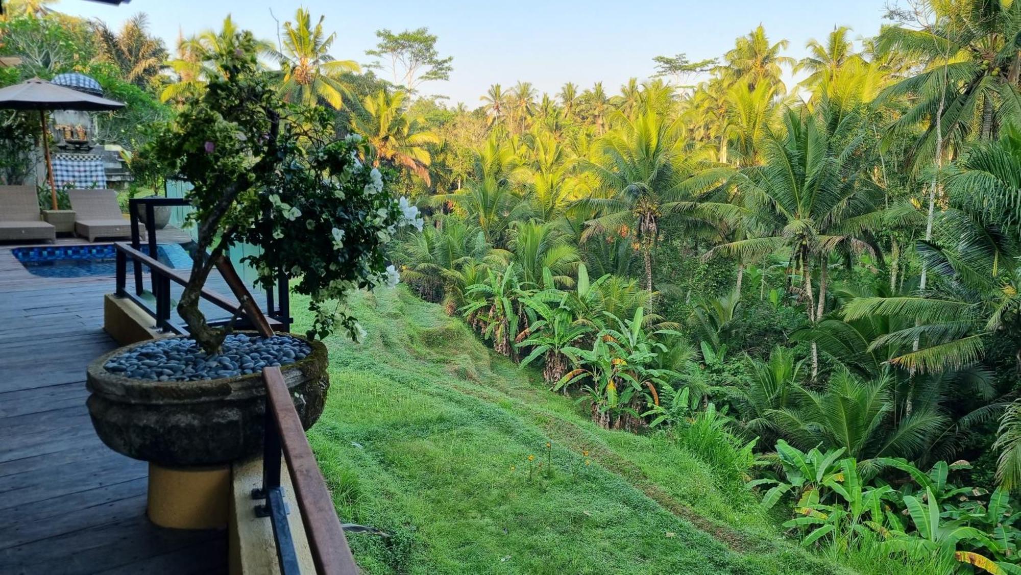 Puri Sebali Resort Ubud Kültér fotó